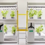 GROW_Compactus