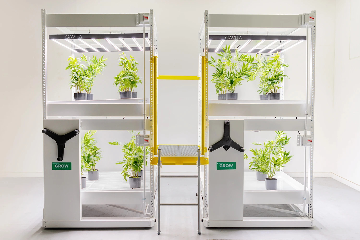 GROW_Compactus