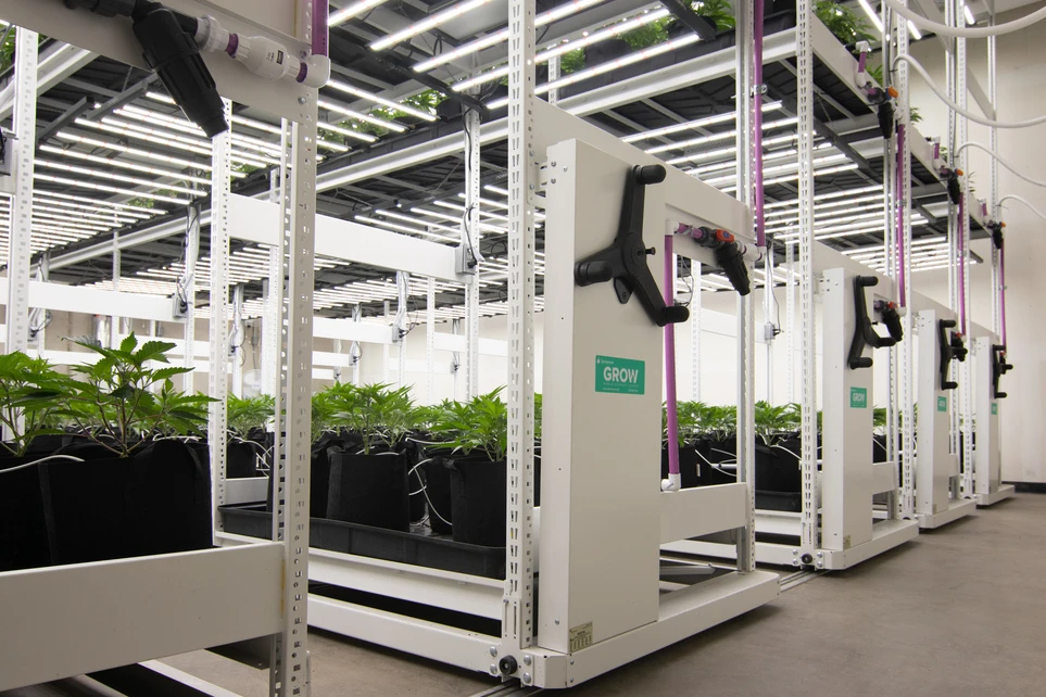 GROW_Compactus2